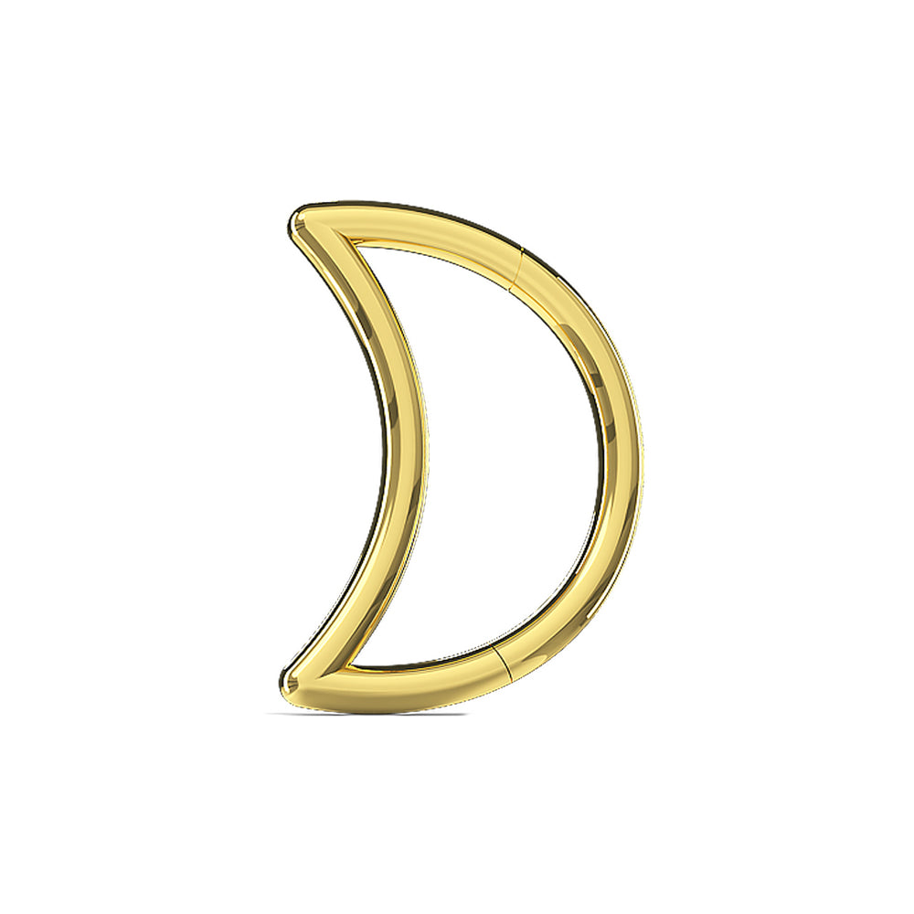 Small Moon Nose Hoop Segment Clicker Ring