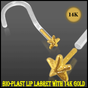 Bio-Plast Nose Screw Ring With Star Shaped 14K Gold Head