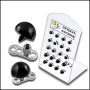 Dermal Anchors with Black Half-Ball Tops in a Tray