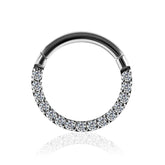 G23 Titanium Pave Crystal Seamless Hinged Clicker Segment Ring
